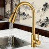 Pull-Out Kitchen Faucet in 304 Stainless Steel Body & Handle and Dual-Function Sprayer for Modern Residential project