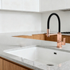 Modern Pull-Out Kitchen Faucet with Sprayer in Durable Polished or Matte with Hose Design