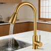 Pull-Out Kitchen Faucet in 304 Stainless Steel Body & Handle and Dual-Function Sprayer for Modern Residential or Commercial project