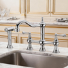 Premium Chrome Bridge Kitchen Faucet with Side Sprayer and Hot and cold switches