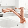 Brass Kitchen Faucet with Dual Water Outlet Zinc-Alloy Handle and Angled Spout Design with Durable Chrome Finish for Kitchen Project 