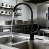 Kitchen Faucet with Elegant Single Handle Stainless Steel Drinking Tap