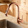 Pull-Down Kitchen Faucet: Modern Chrome Sprayer for Efficient Sink or hotel Use