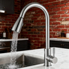 Pull-Out Kitchen Faucet in 304 Stainless Steel Body & Handle and Dual-Function Sprayer for Modern Residential project