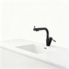 Brass Kitchen Faucet with Dual-Function Sprayer and Zinc Alloy Handle for Global Supply Chain