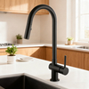 Modern Chrome Pull-Out Kitchen Faucet and Cylindrical Brass Mixer Tap with Sprayer 