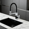 Modern Pull-Out Kitchen Faucet with Sprayer in Durable Polished or Matte with Hose Design